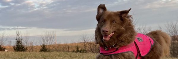 Carol_Rieg Profile Banner