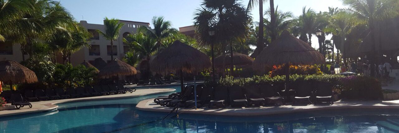 Marcela V. Navarra banner