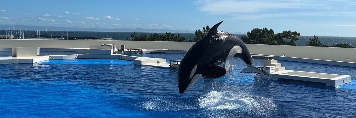 むぎ🧁3月誕生日 banner