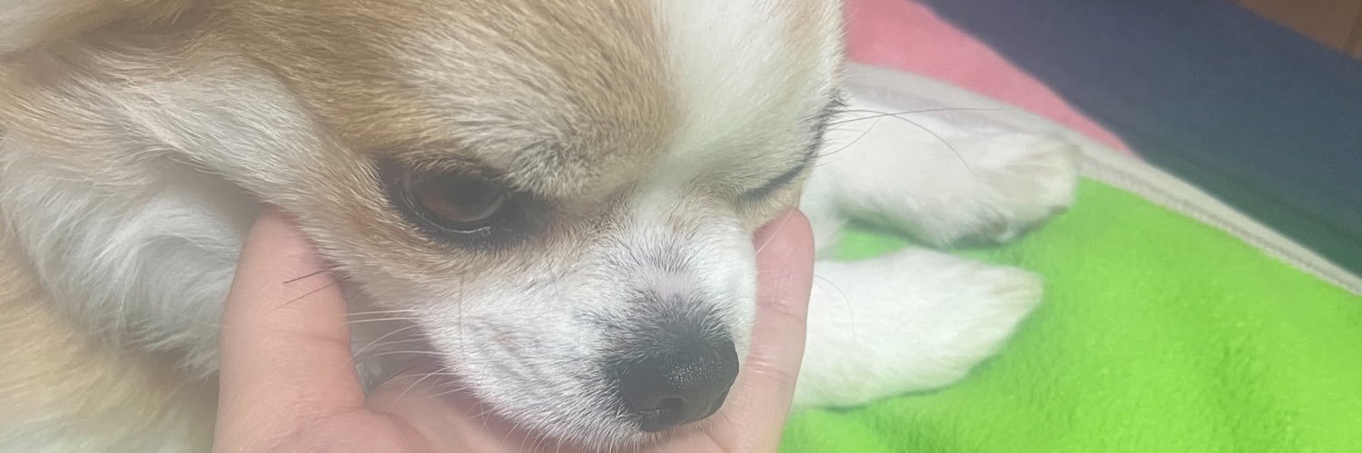 a0_kun_'s profile banner image