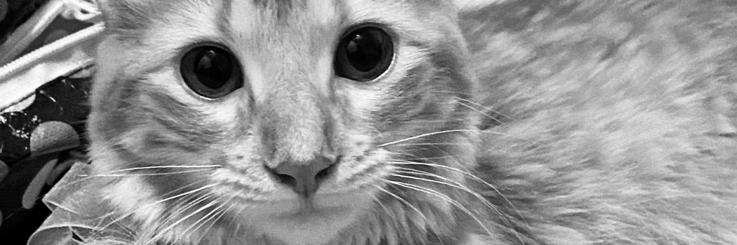 Annsanchezv's profile banner image