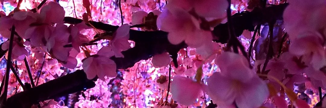 いしだ's banner