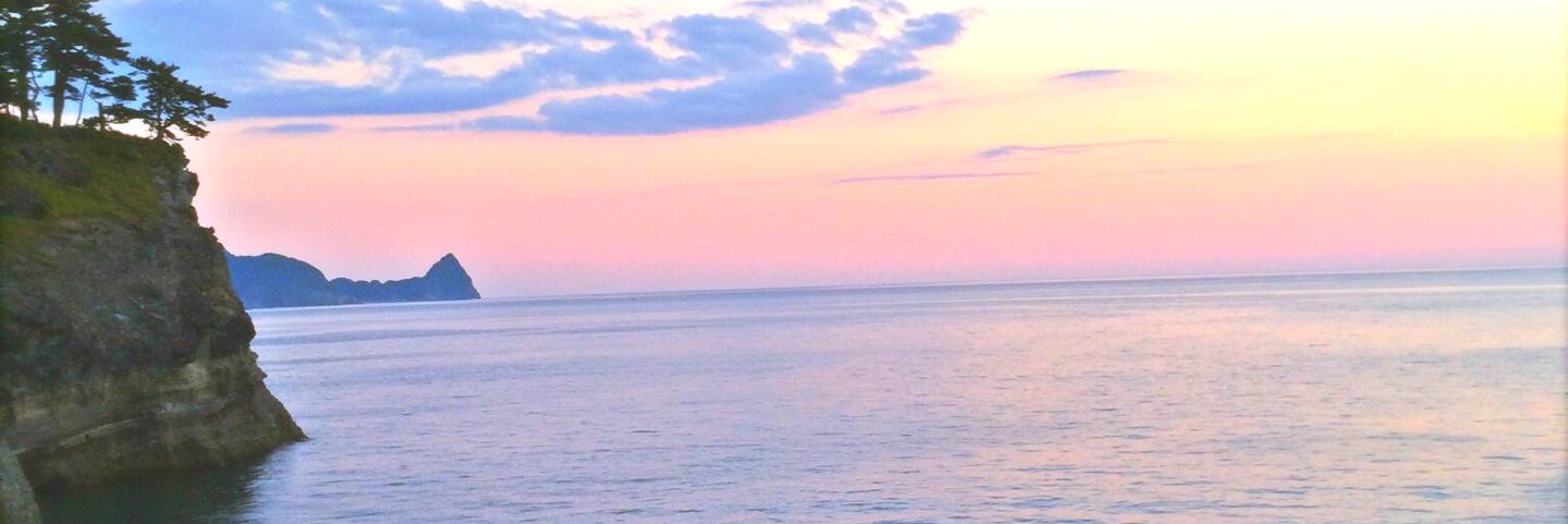 redflowerfrog's profile banner image