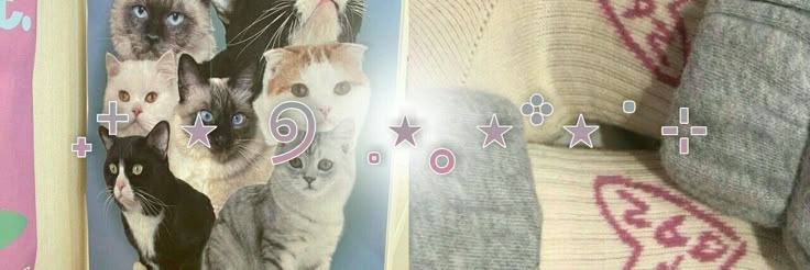 ؘ banner
