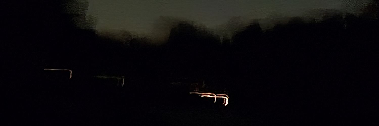 Dani banner