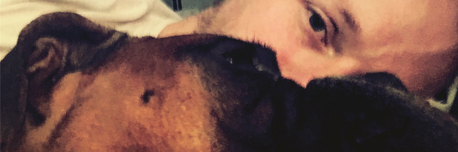 timman_stroh's profile banner image