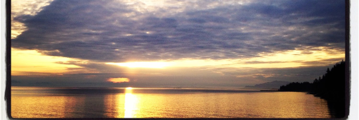 Leanna Verkade banner