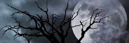 ErikoSnow's profile banner image