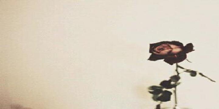 shjon___'s profile banner image