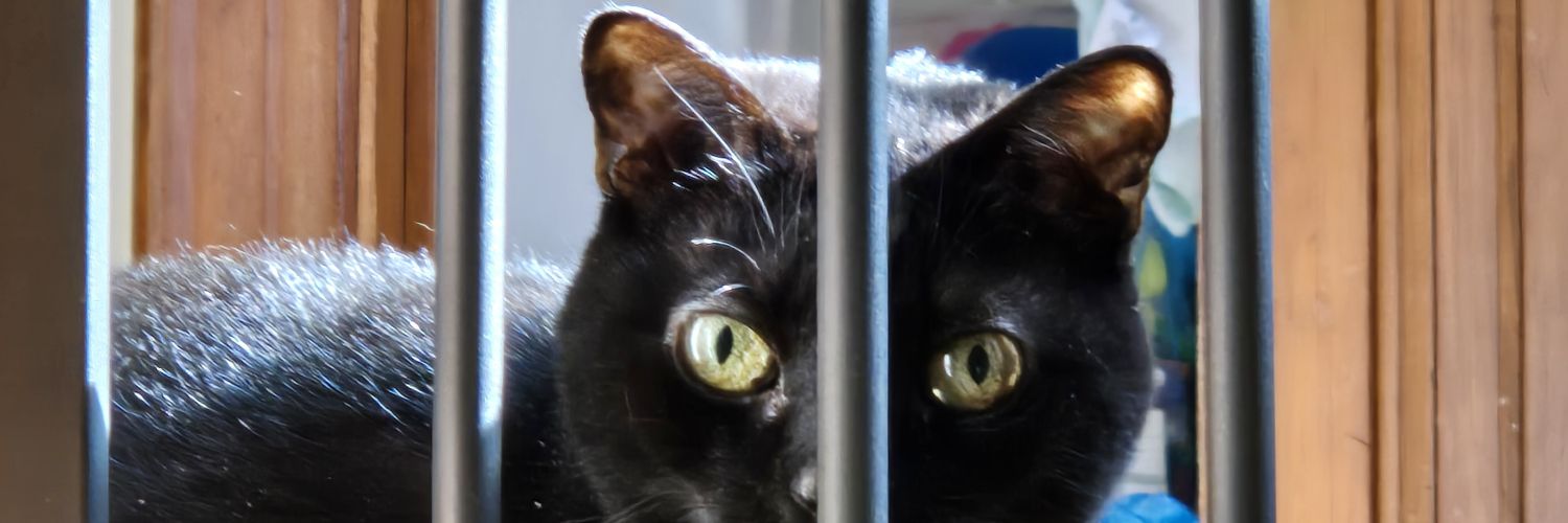 🌬️🌪️ banner