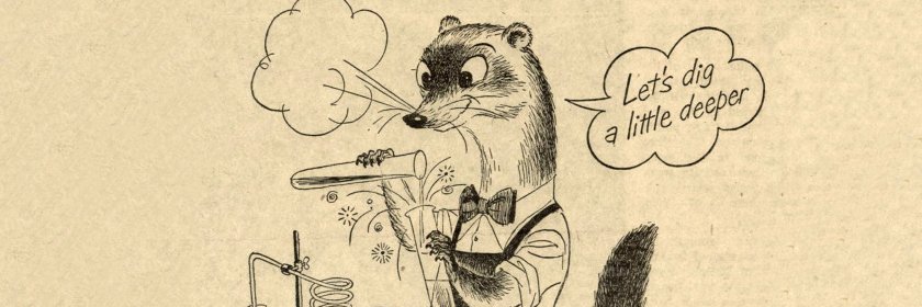 woosle! 🌸✨ banner