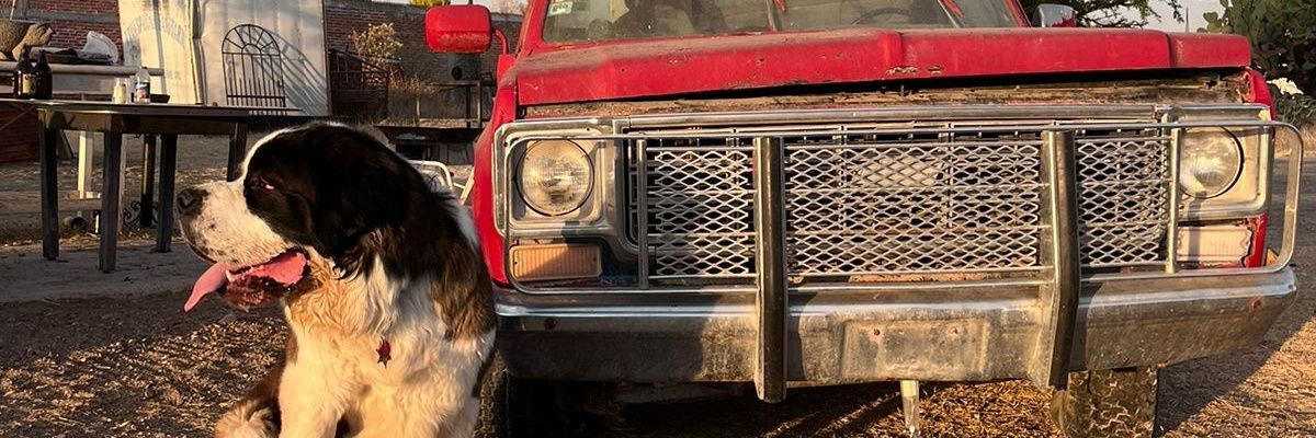 _Marce_Lopez's profile banner image