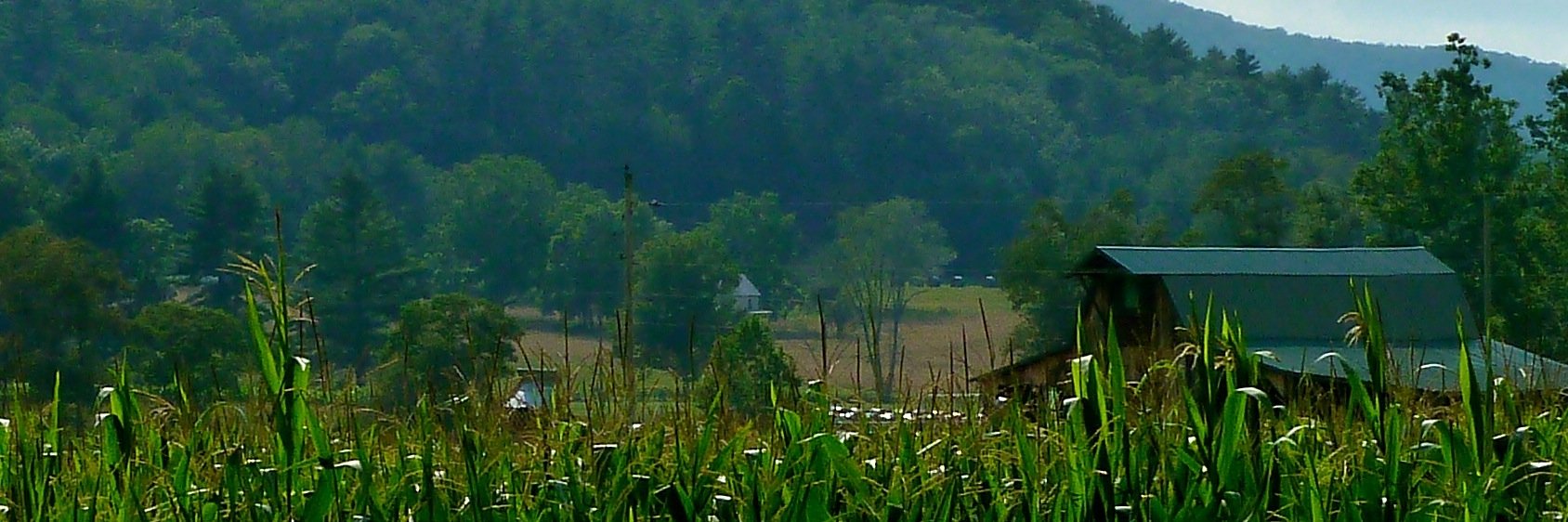 Dr. Eleanor Mahoney banner