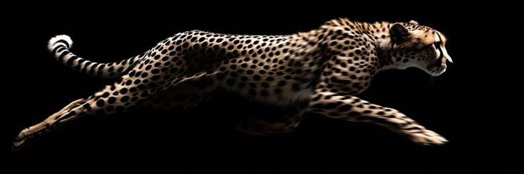 sncl_bsr's profile banner image