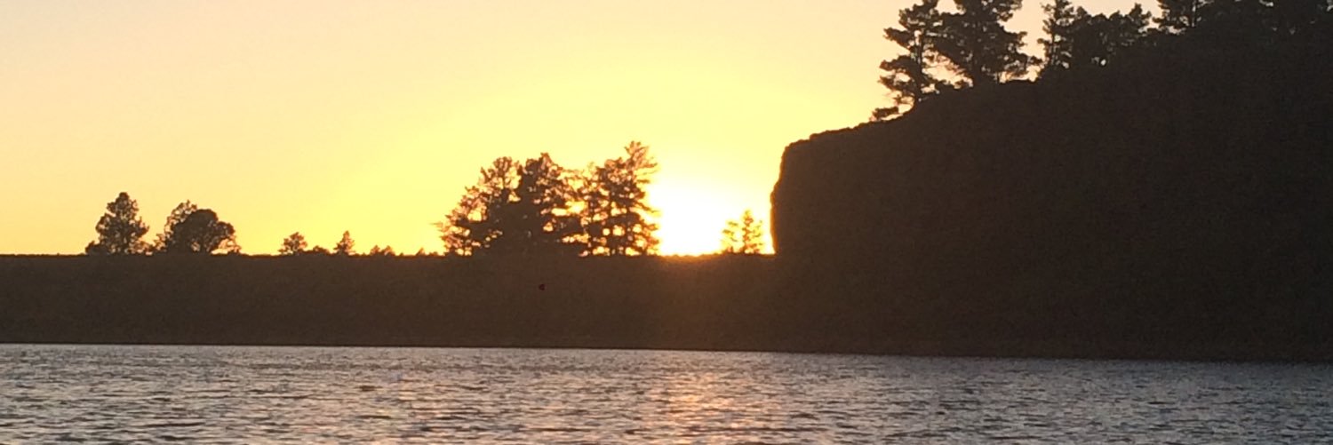 MaddieMo9's profile banner image