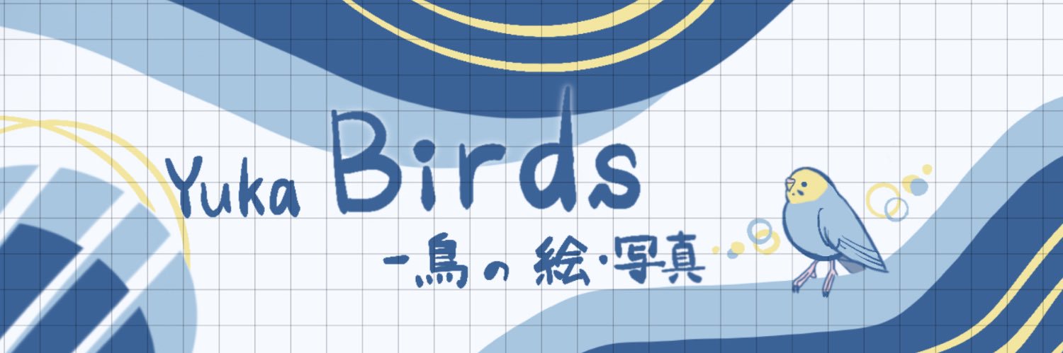 Yuka_birds（とりっぴー） ／鳥の絵・写真's banner