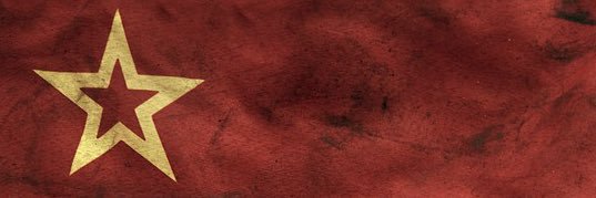 Alexander Ilych banner
