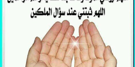 sbeehalawad's profile banner image