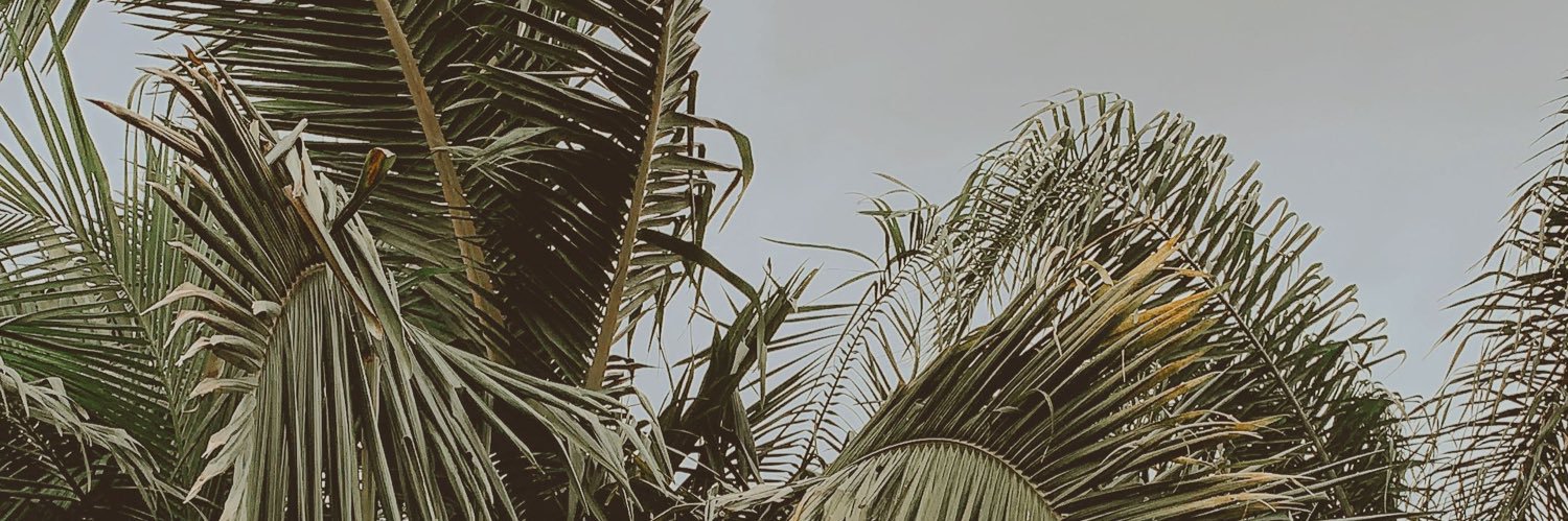 ingridbertuol's profile banner image