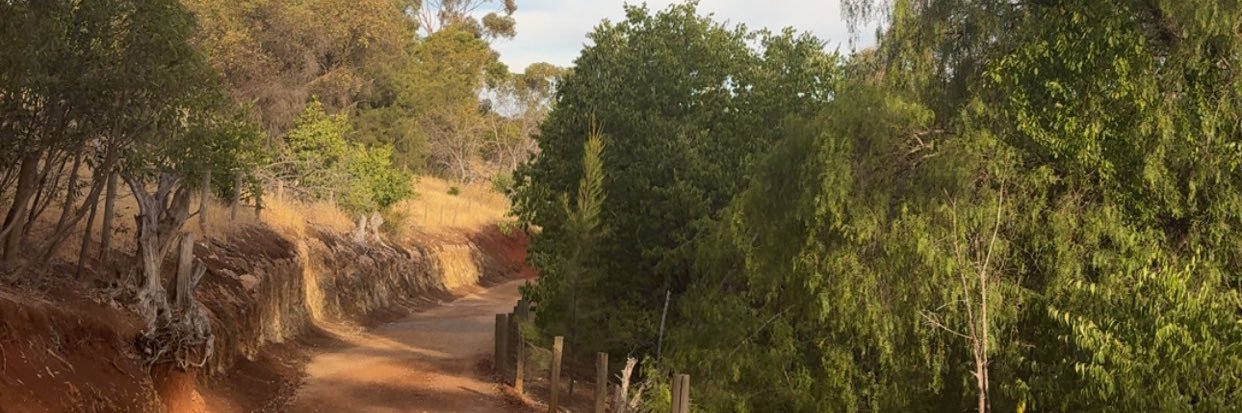 Taylor Chillingworth banner