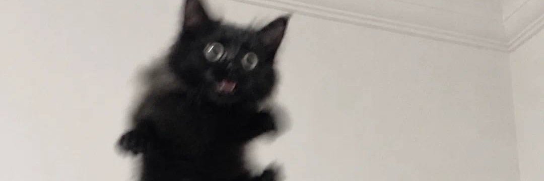 campvinny67's profile banner image