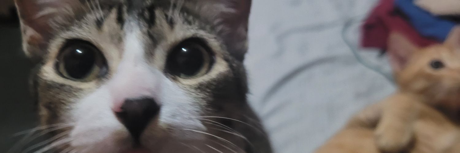 Becky pika pika banner