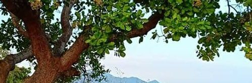 Subhankar_89's profile banner image