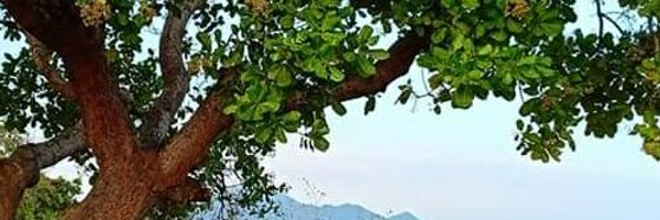 Subhankar_89 Profile Banner