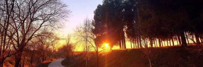 Fernando  Quevedo banner