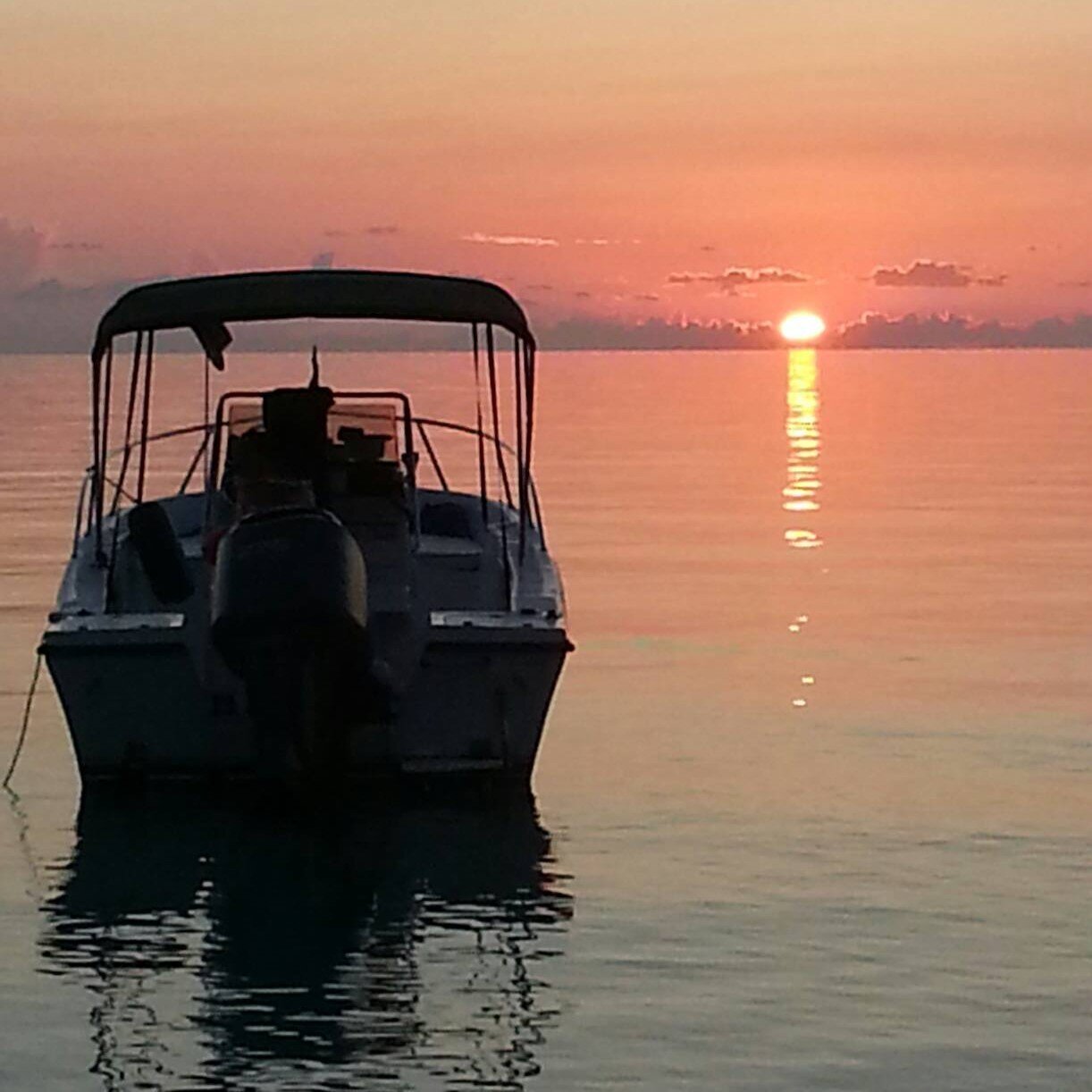 Peter 🇧🇲 💙❤️ banner