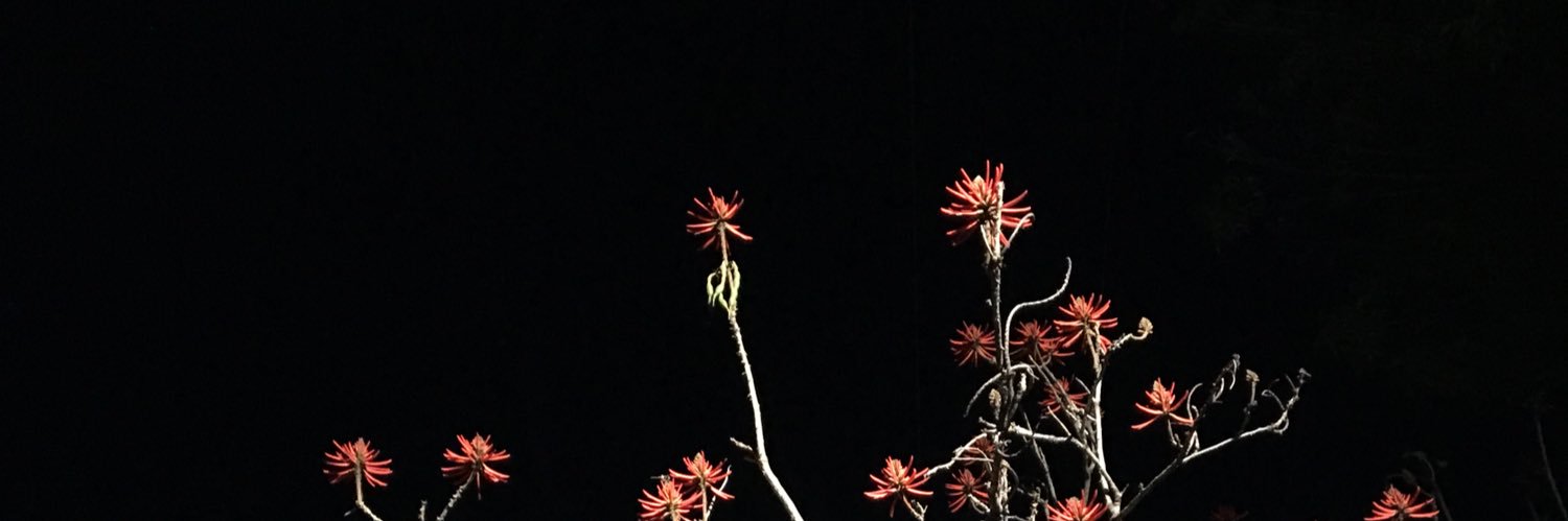 Marc_Barrient's profile banner image