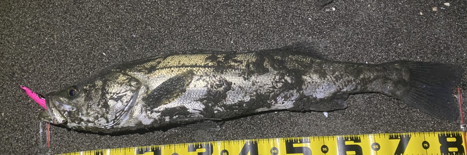 Xとれぃる banner