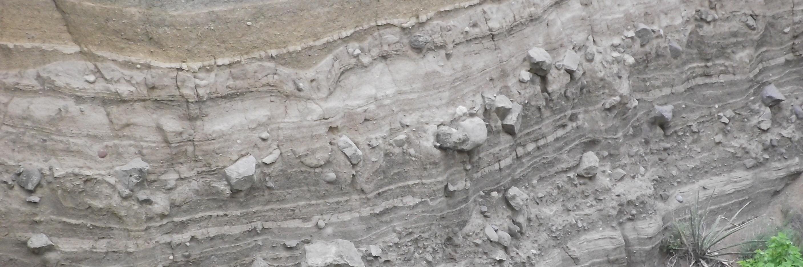 Alison Graettinger banner