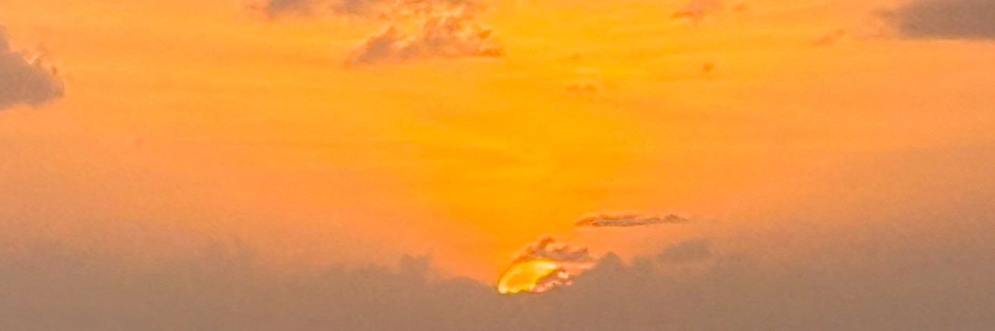 SteveGosset's profile banner image