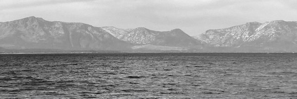 the_membership Profile Banner