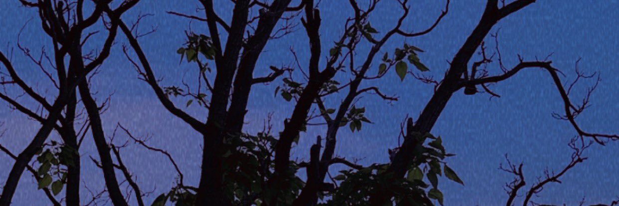 bronwyn47's profile banner image