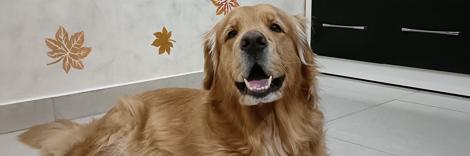 saintforpaws's profile banner image
