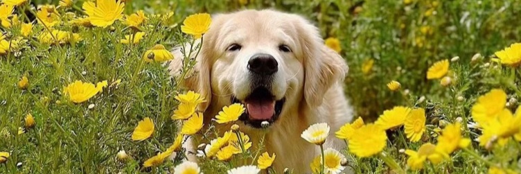 Kat (Katherine) NunYoBizness banner