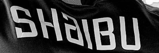 Engr Shaibu's banner