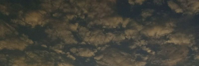 MichelleTrivi's profile banner image