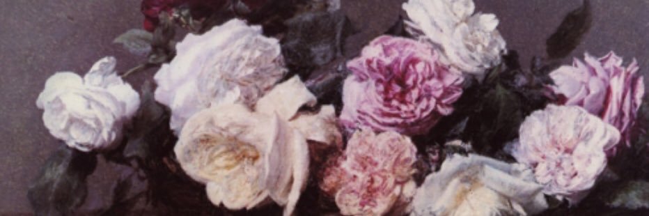 Maureen Morrison banner