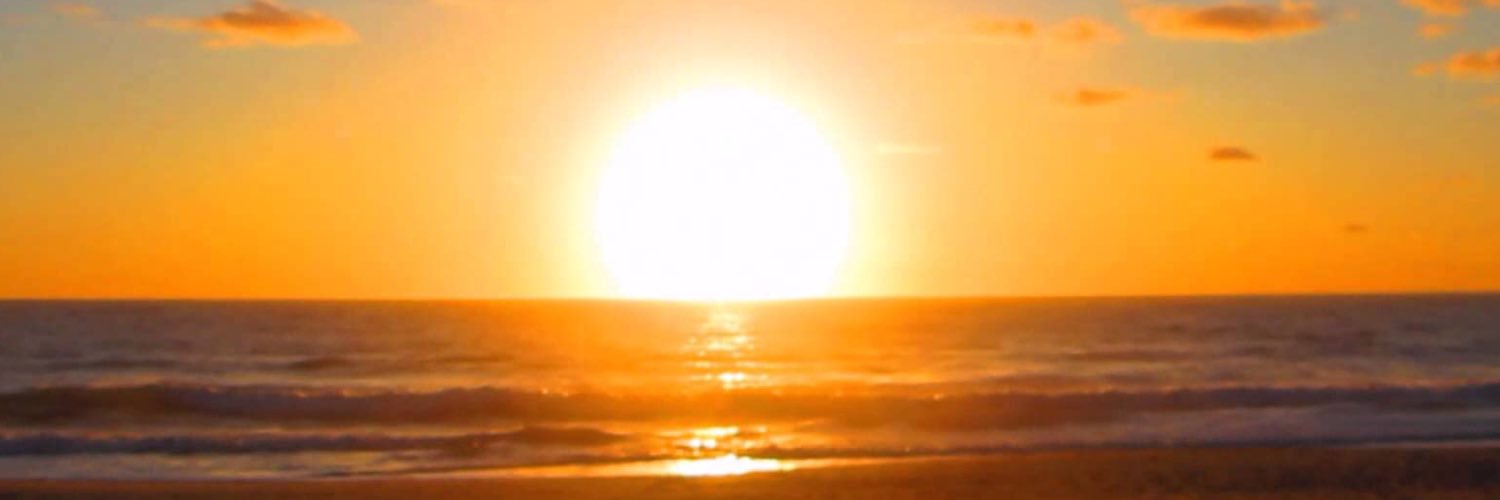 Jalen Whitlow banner