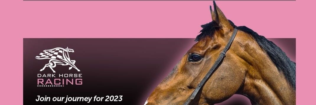 DHRCourtDreaming2 banner