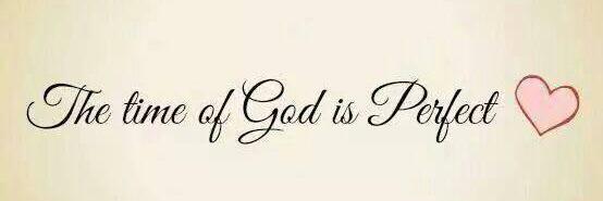 Steph Gonzalez banner