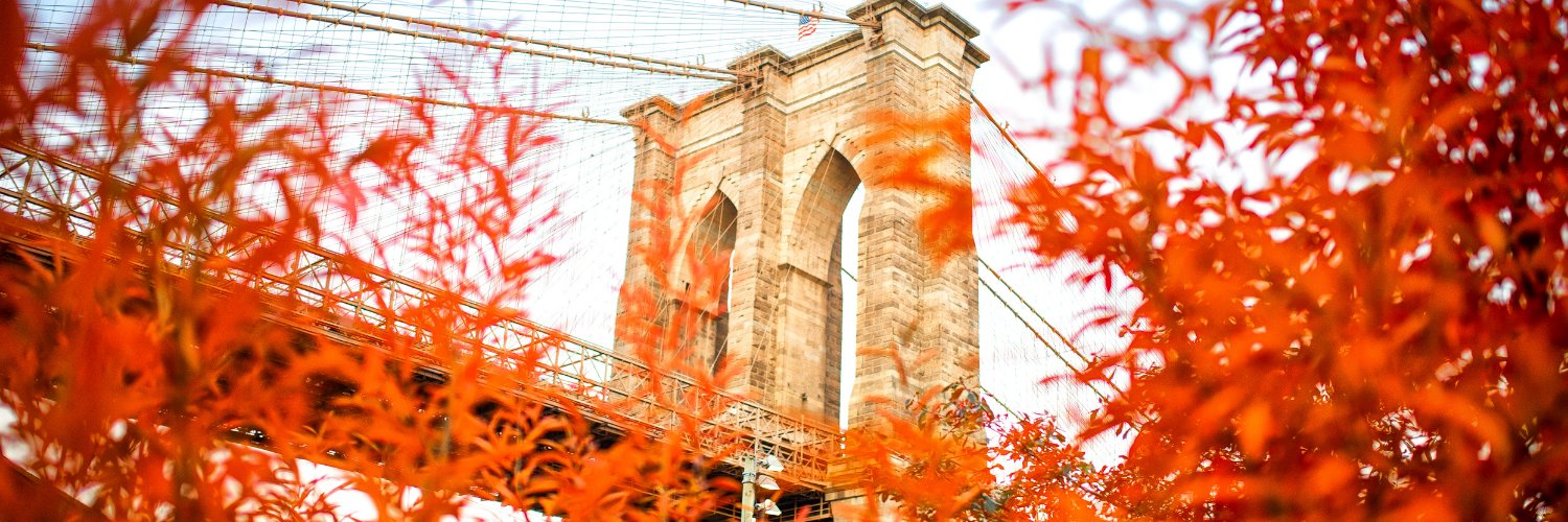 Robert Bajor 🚀 banner