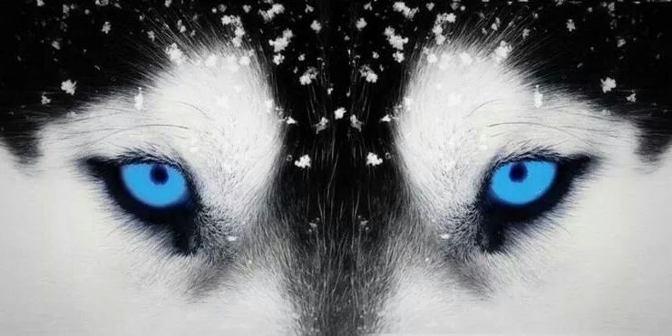 DJStormXZ's profile banner image