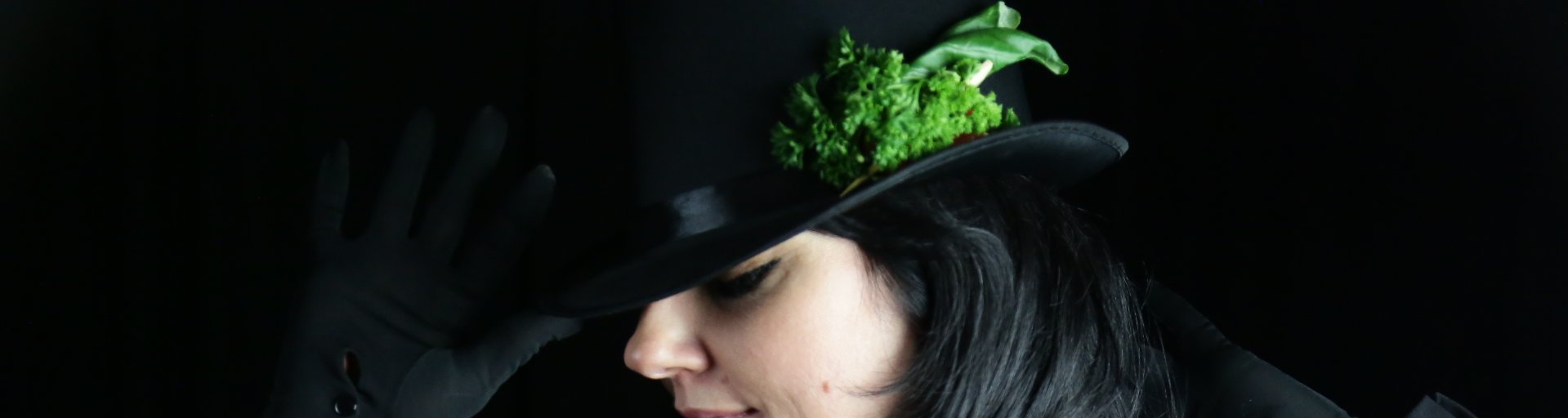 MelsCatRanch's profile banner image