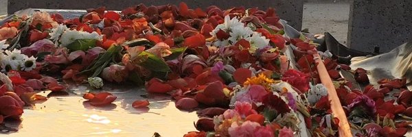 MahdaviLeily Profile Banner