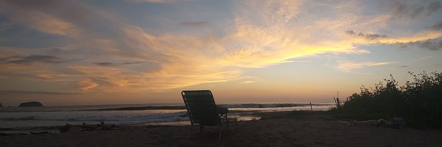 William Bravo banner