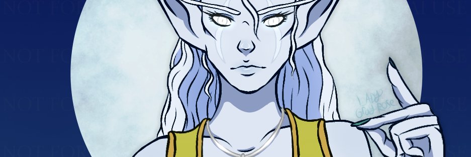 LadyGrayRose's profile banner image